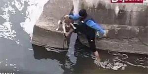Видео кое ќе ви ја врати вербата во човечноста