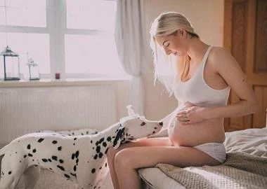 Истражувањата потврдуваат: Трудниците кои чуваат кучиња, раѓаат поздрави и посреќни бебиња