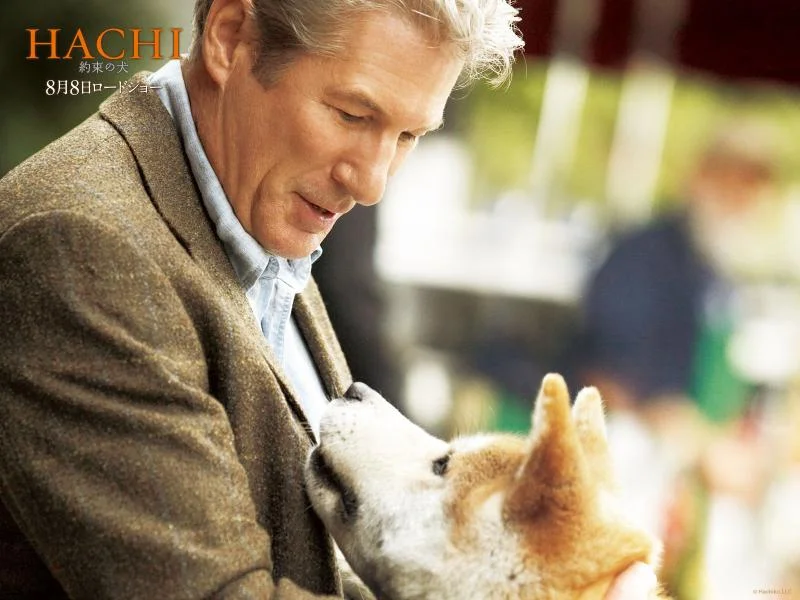 Предлог филм - Hachi: A dogs tale (Приказната за Хачико)